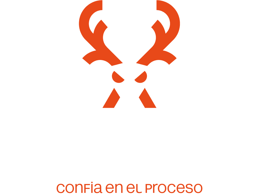 Iron Fit Club — confía en el proceso